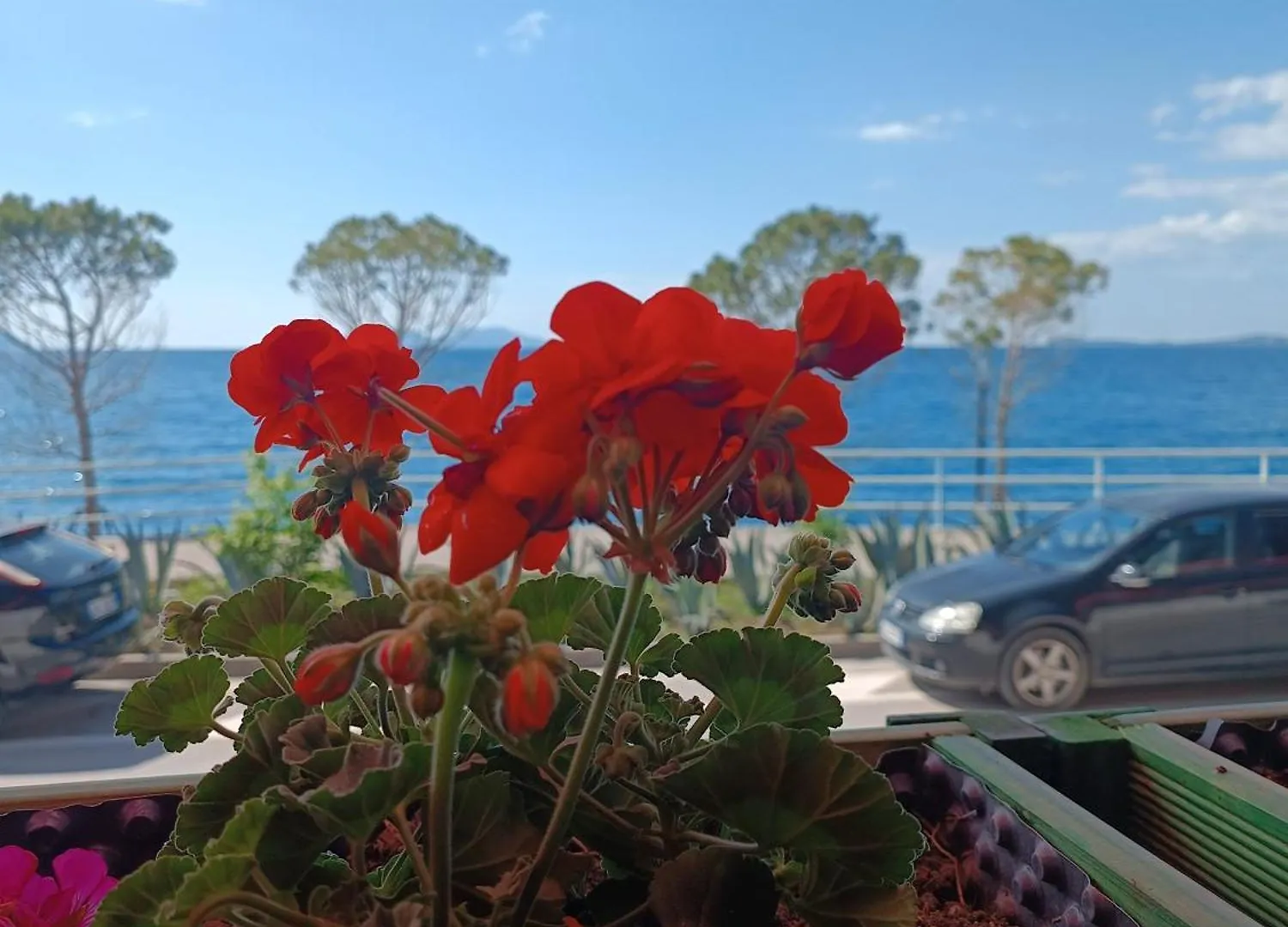 Appartement Fllad Deti à Vlorë Albanie